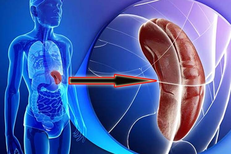 மண்ணீரலில் ஏற்படும் தொற்றுநோய் வீக்கம்